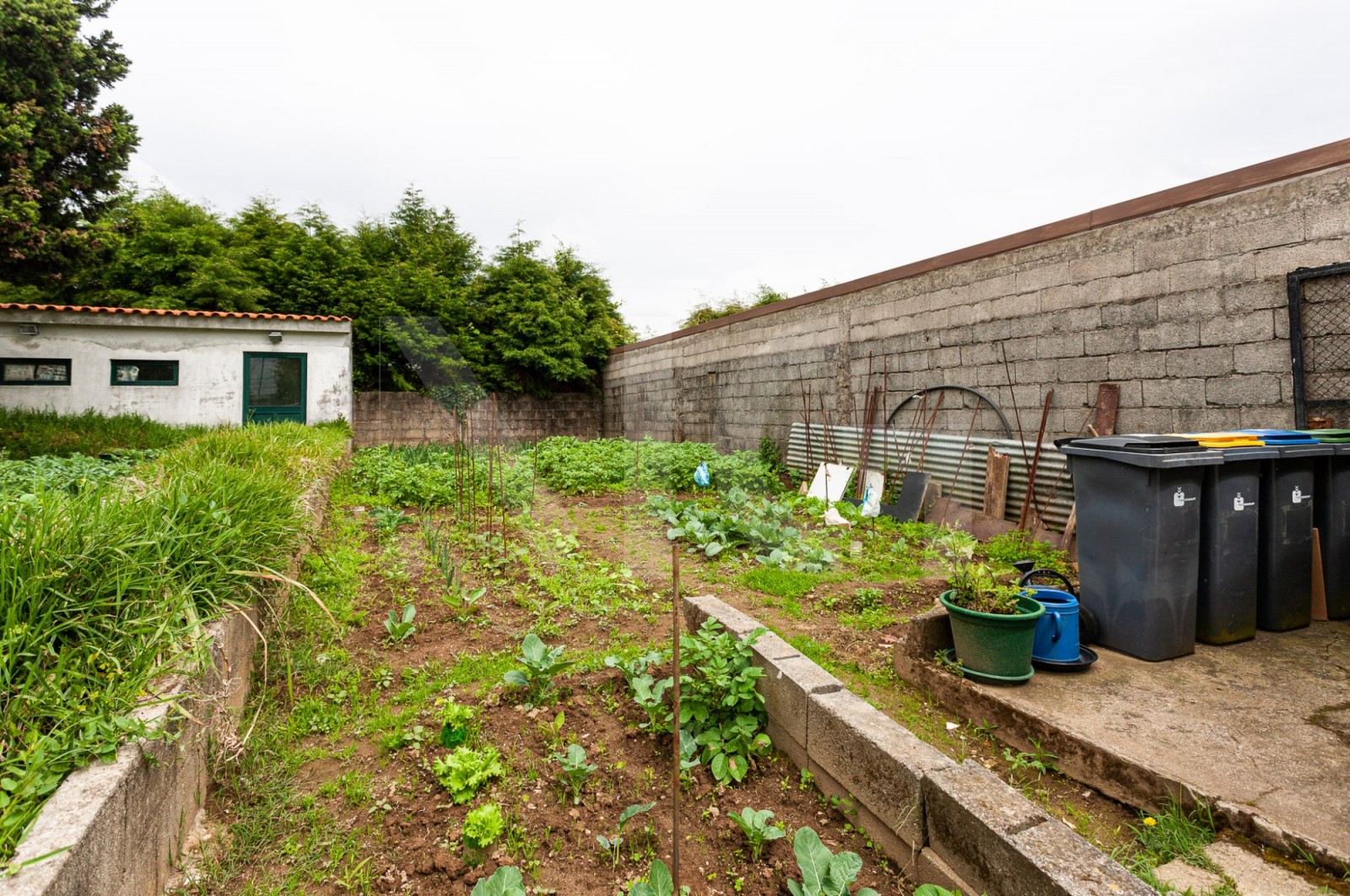 Moradia T3 para Venda em Castêlo da Maia, Maia, Porto - Quintal/Jardim (Imagem 1)