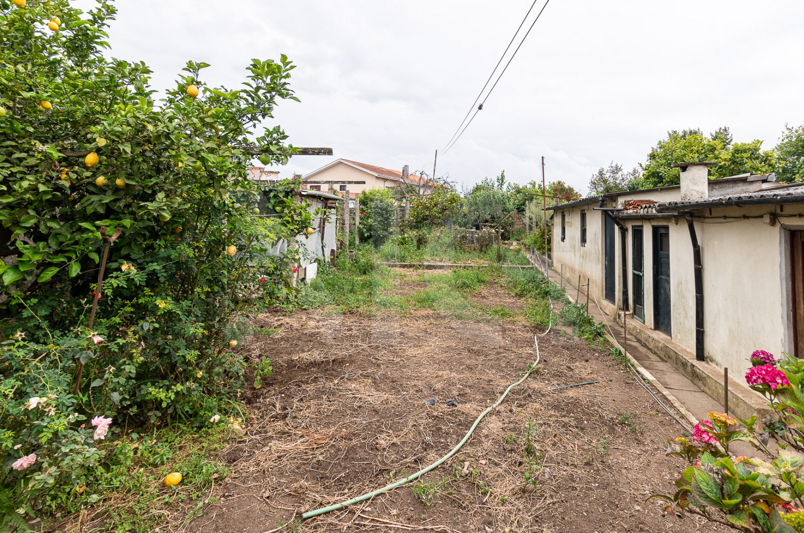 Moradia T3 para Venda em Baguim do Monte (Rio Tinto), Gondomar, Porto - Quintal/Jardim (Imagem 1)