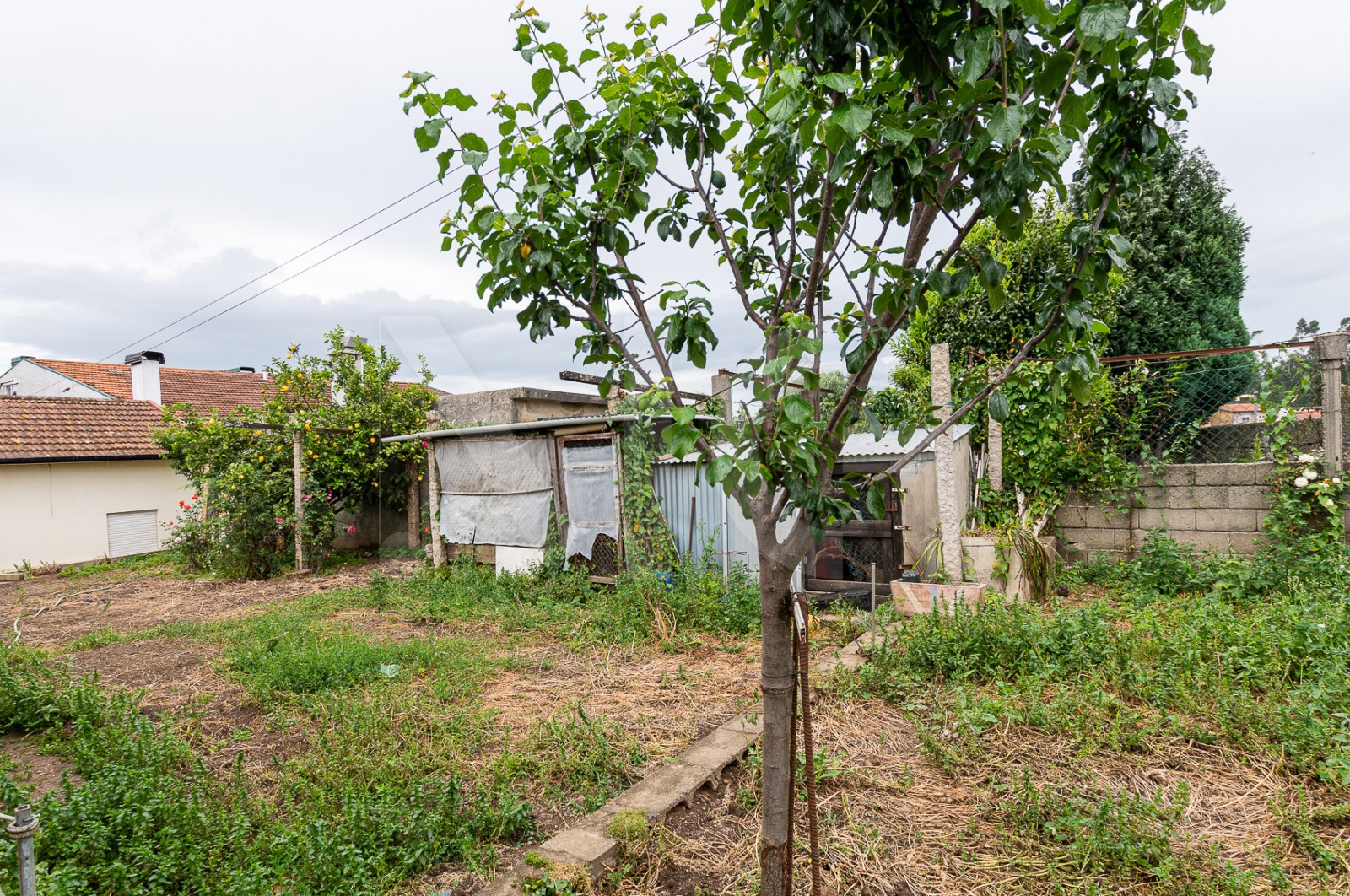 Moradia T3 para Venda em Baguim do Monte (Rio Tinto), Gondomar, Porto - Quintal/Jardim (Imagem 2)