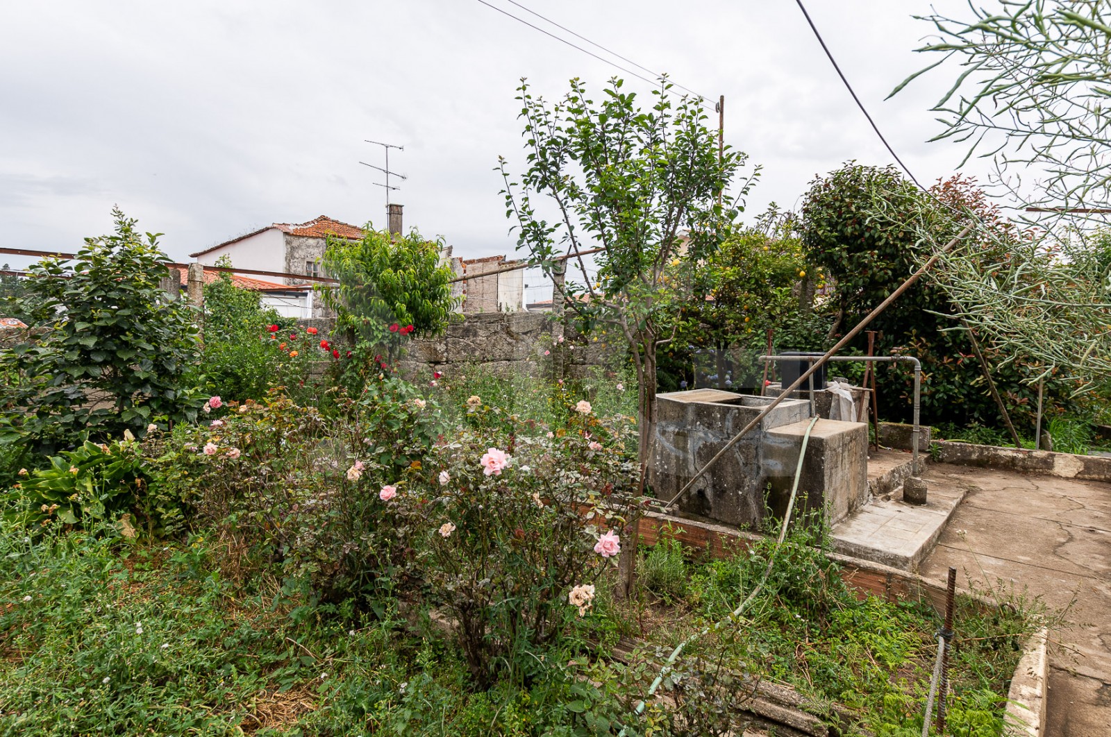 Moradia T3 para Venda em Baguim do Monte (Rio Tinto), Gondomar, Porto - Quintal/Jardim (Imagem 3)