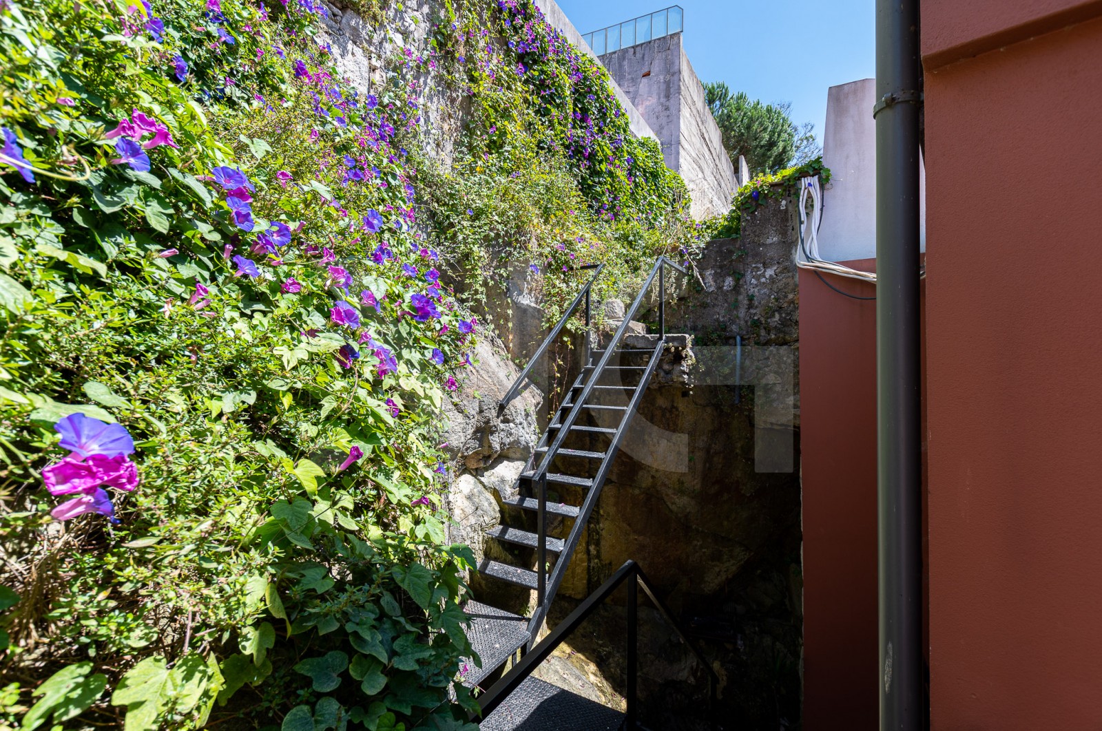 House T3+1 for For sale in Cedofeita, Santo Ildefonso, Sé, Miragaia, São Nicolau e Vitória, Porto, Porto - Terraço (Imagem 1)