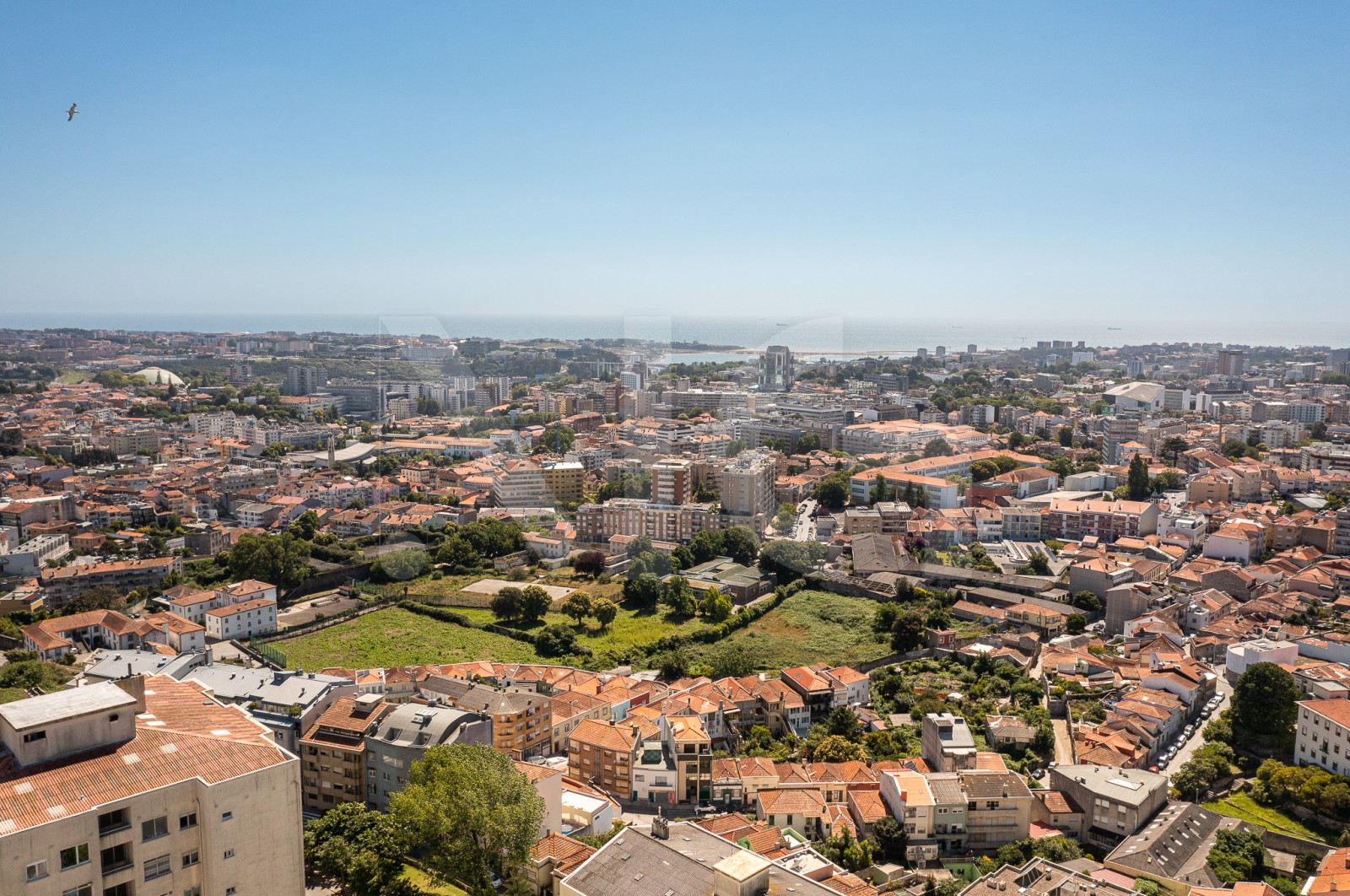 House T3+1 for For sale in Cedofeita, Santo Ildefonso, Sé, Miragaia, São Nicolau e Vitória, Porto, Porto - Área envolvente (Imagem 8)