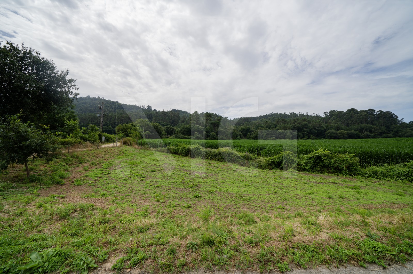 Terreno Rústico para Venda em Areias de Vilar e Encourados, Barcelos, Braga - Terreno (Imagem 4)