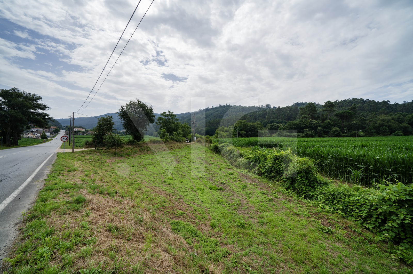 Terreno Rústico para Venda em Areias de Vilar e Encourados, Barcelos, Braga - Terreno (Imagem 5)