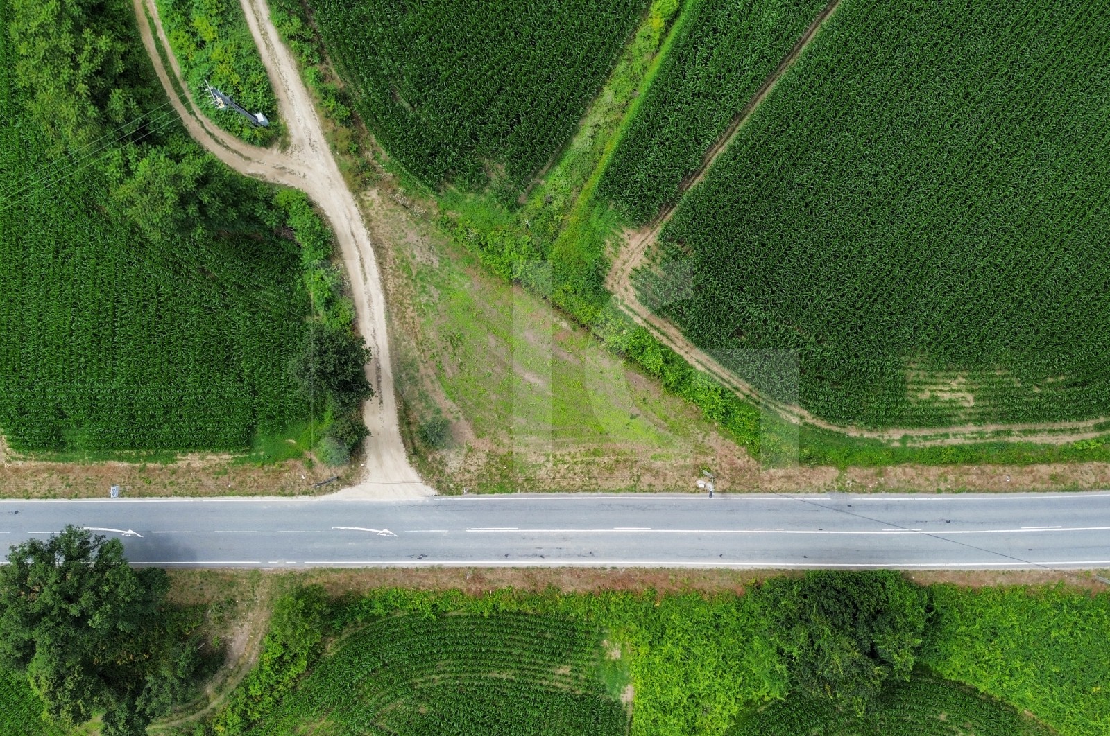 Terreno Rústico para Venda em Areias de Vilar e Encourados, Barcelos, Braga - Terreno (Imagem 7)