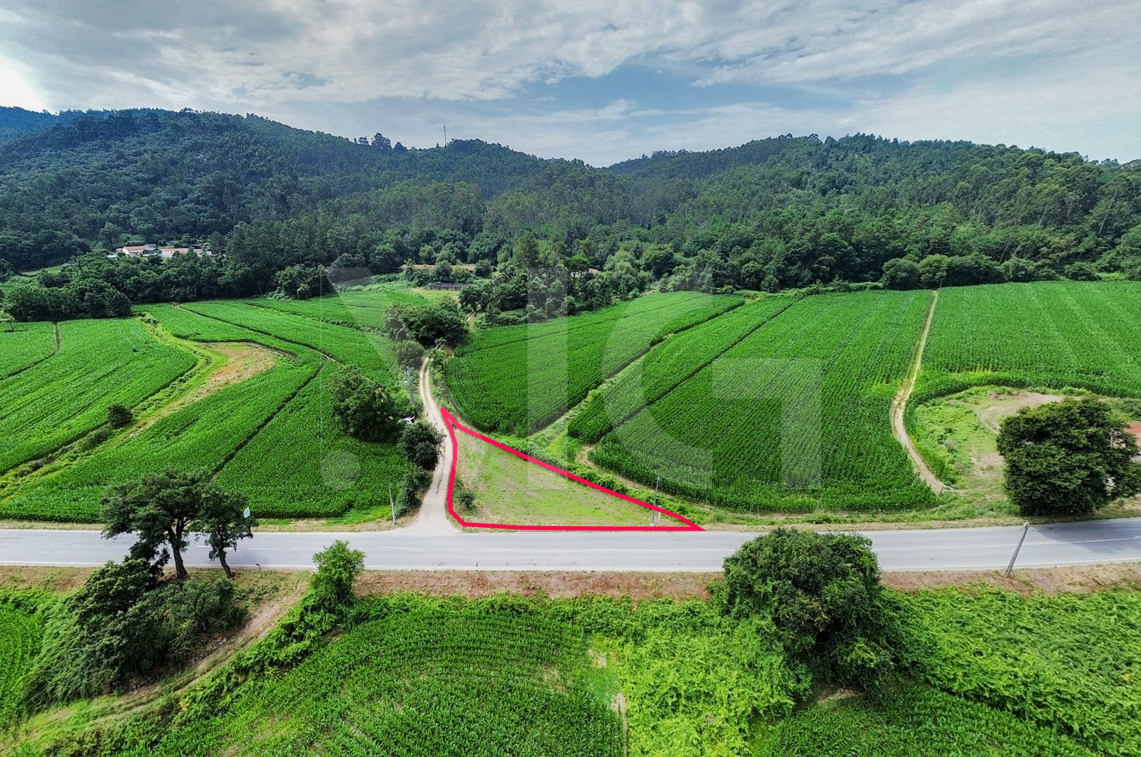Terreno Rústico para Venda em Areias de Vilar e Encourados, Barcelos, Braga - Planta (Imagem 1)