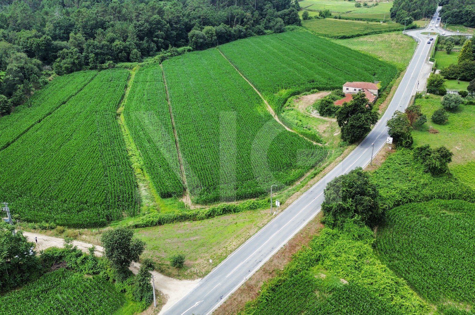 Terreno Rústico para Venda em Areias de Vilar e Encourados, Barcelos, Braga - Área envolvente (Imagem 6)