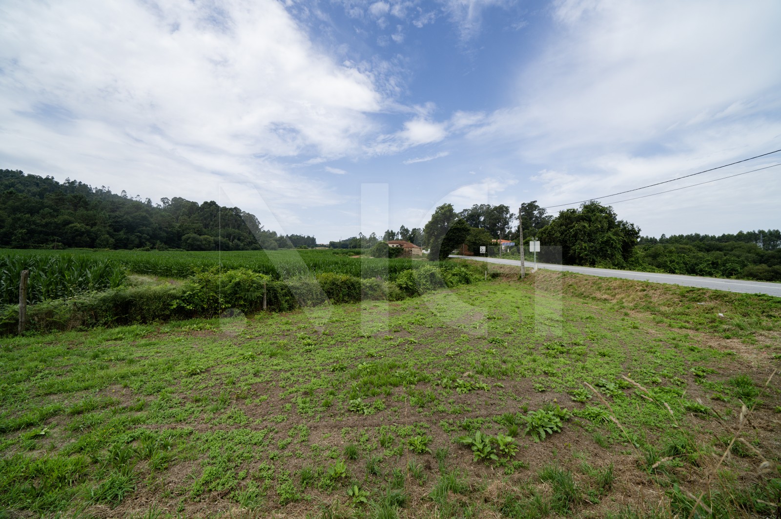 Terreno Rústico para Venda em Areias de Vilar e Encourados, Barcelos, Braga - Terreno (Imagem 2)