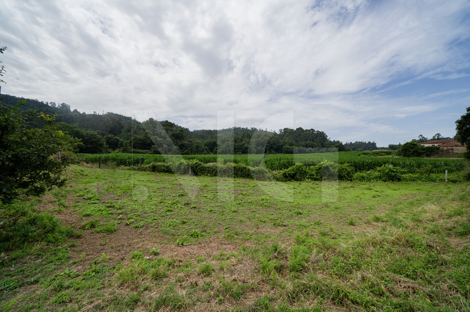 Terreno Rústico para Venda em Areias de Vilar e Encourados, Barcelos, Braga - Terreno (Imagem 3)
