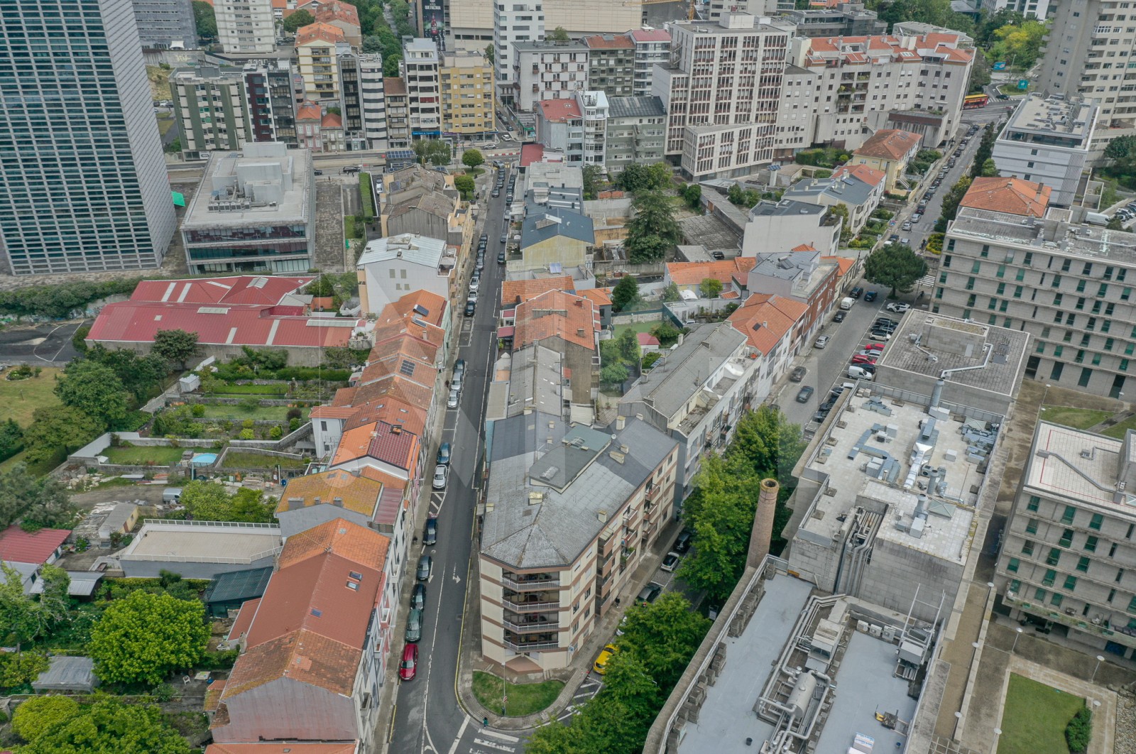 Apartamento T3 para Venda em Lordelo do Ouro e Massarelos, Porto, Porto - Área envolvente (Imagem 5)
