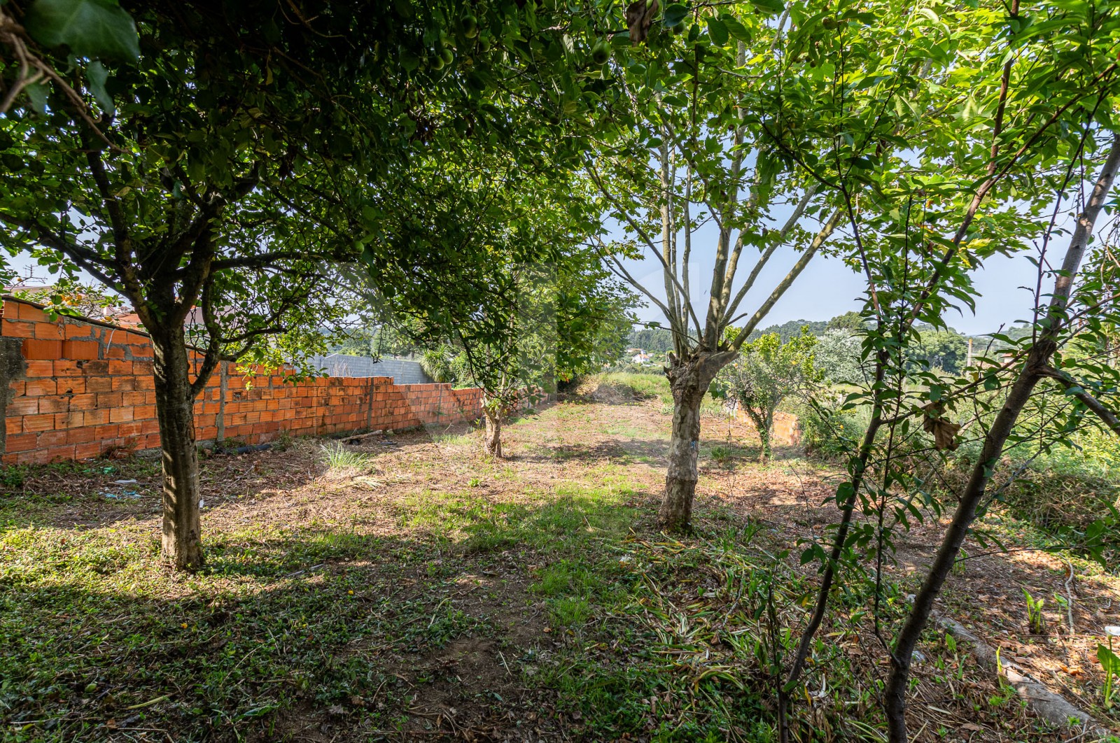 Terreno Urbano para Venda em Anta e Guetim, Espinho, Aveiro - Terreno (Imagem 3)
