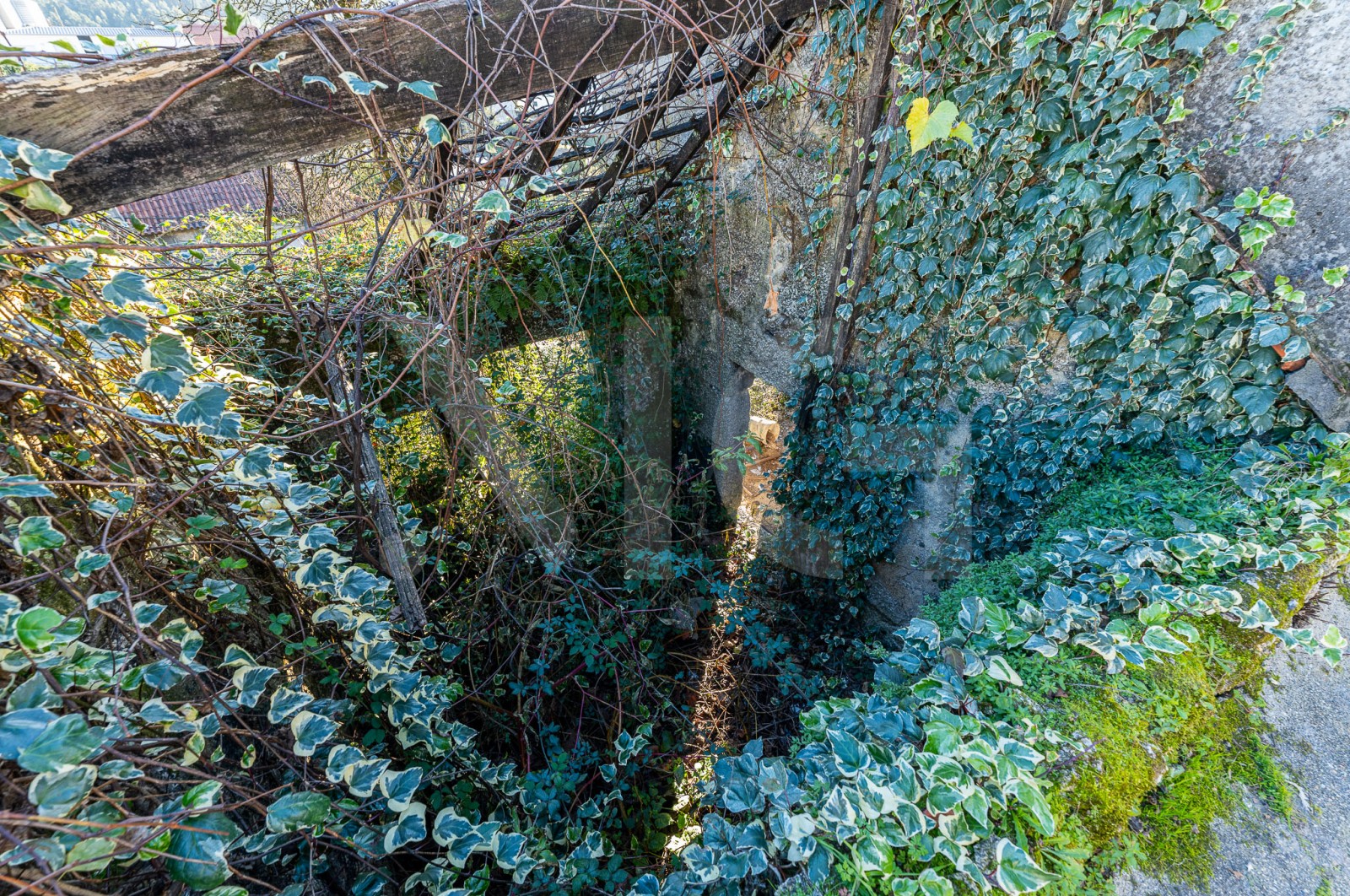 Moradia T3 para Venda em Rebordosa, Paredes, Porto - Área envolvente (Imagem 9)