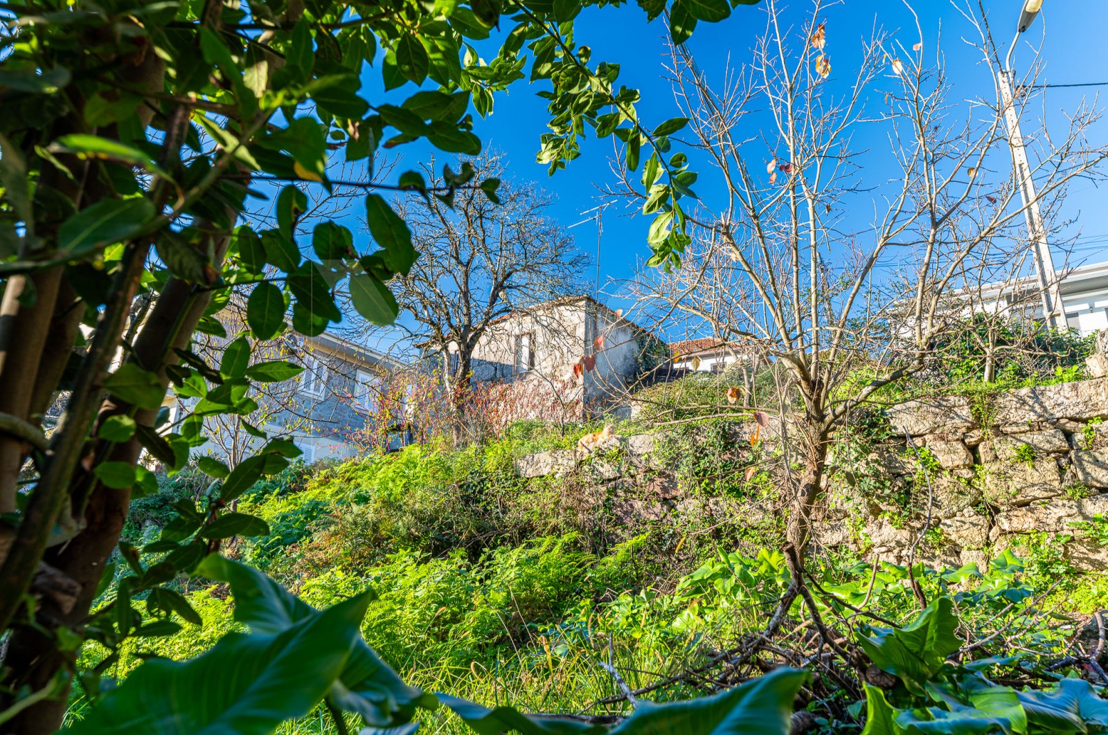 Moradia T3 para Venda em Rebordosa, Paredes, Porto - Área envolvente (Imagem 7)