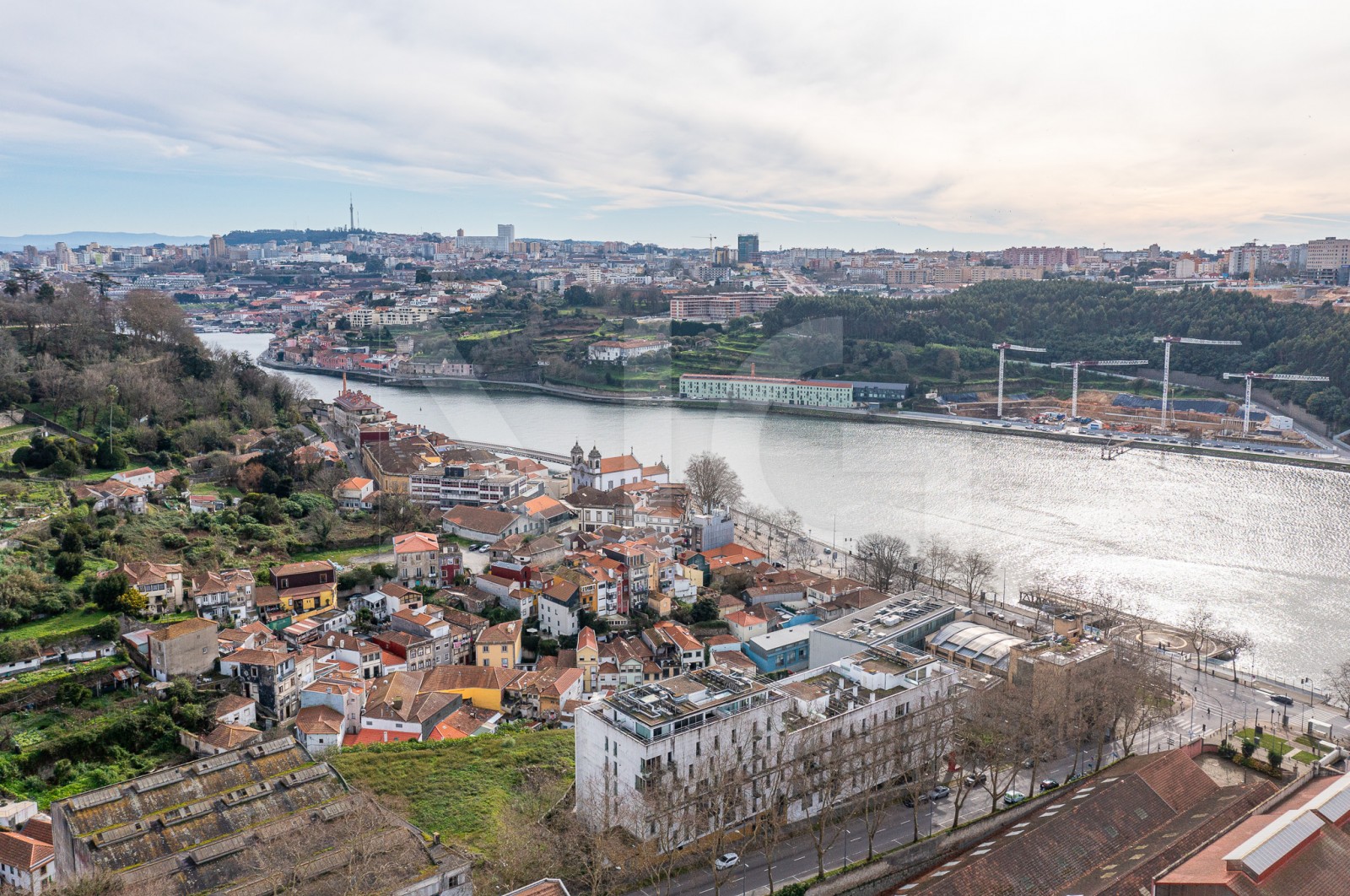 Apartamento T3 para Venda em Lordelo do Ouro e Massarelos, Porto, Porto - Área envolvente (Imagem 7)