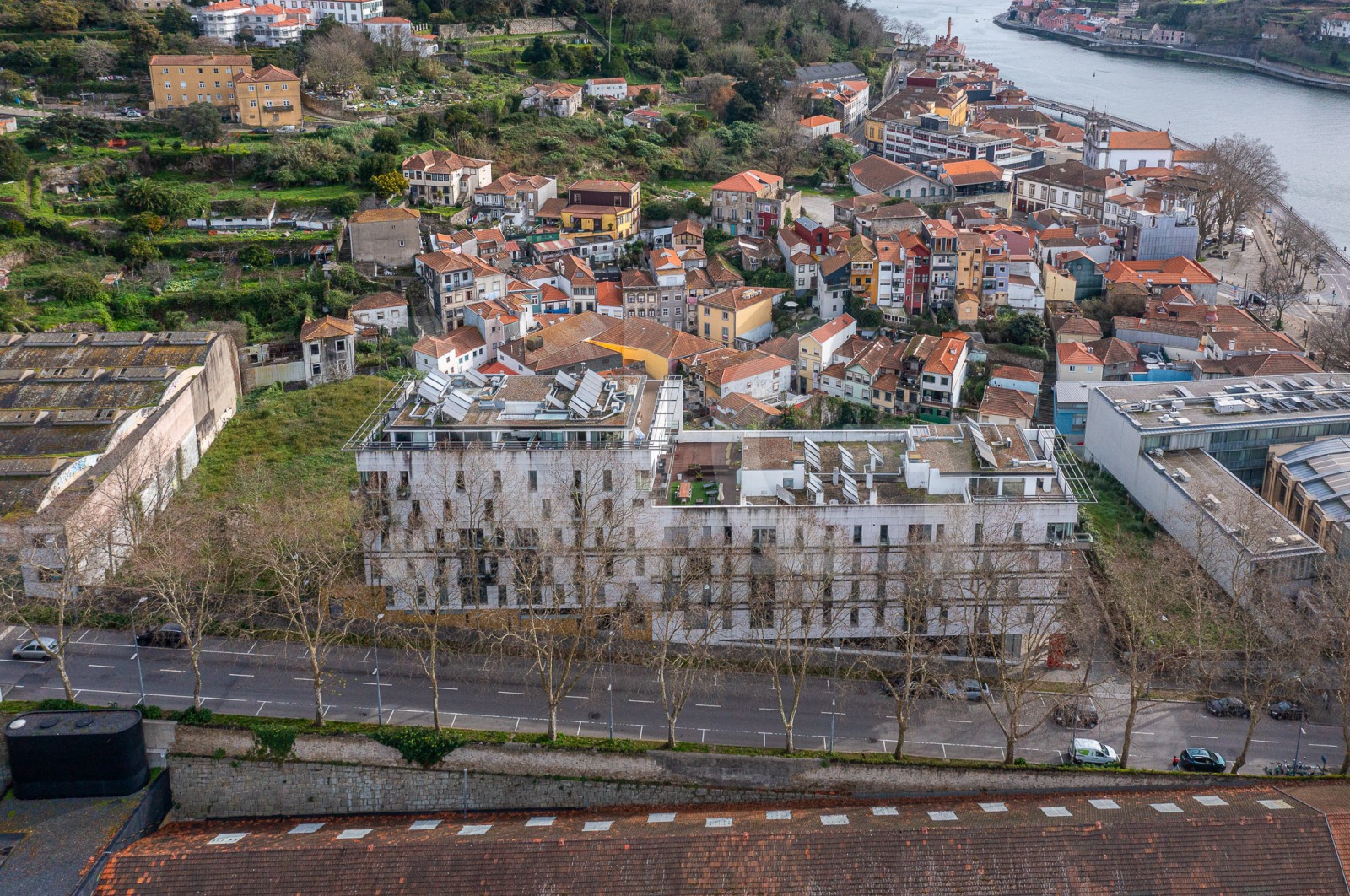 Apartamento T3 para Venda em Lordelo do Ouro e Massarelos, Porto, Porto - Área envolvente (Imagem 18)