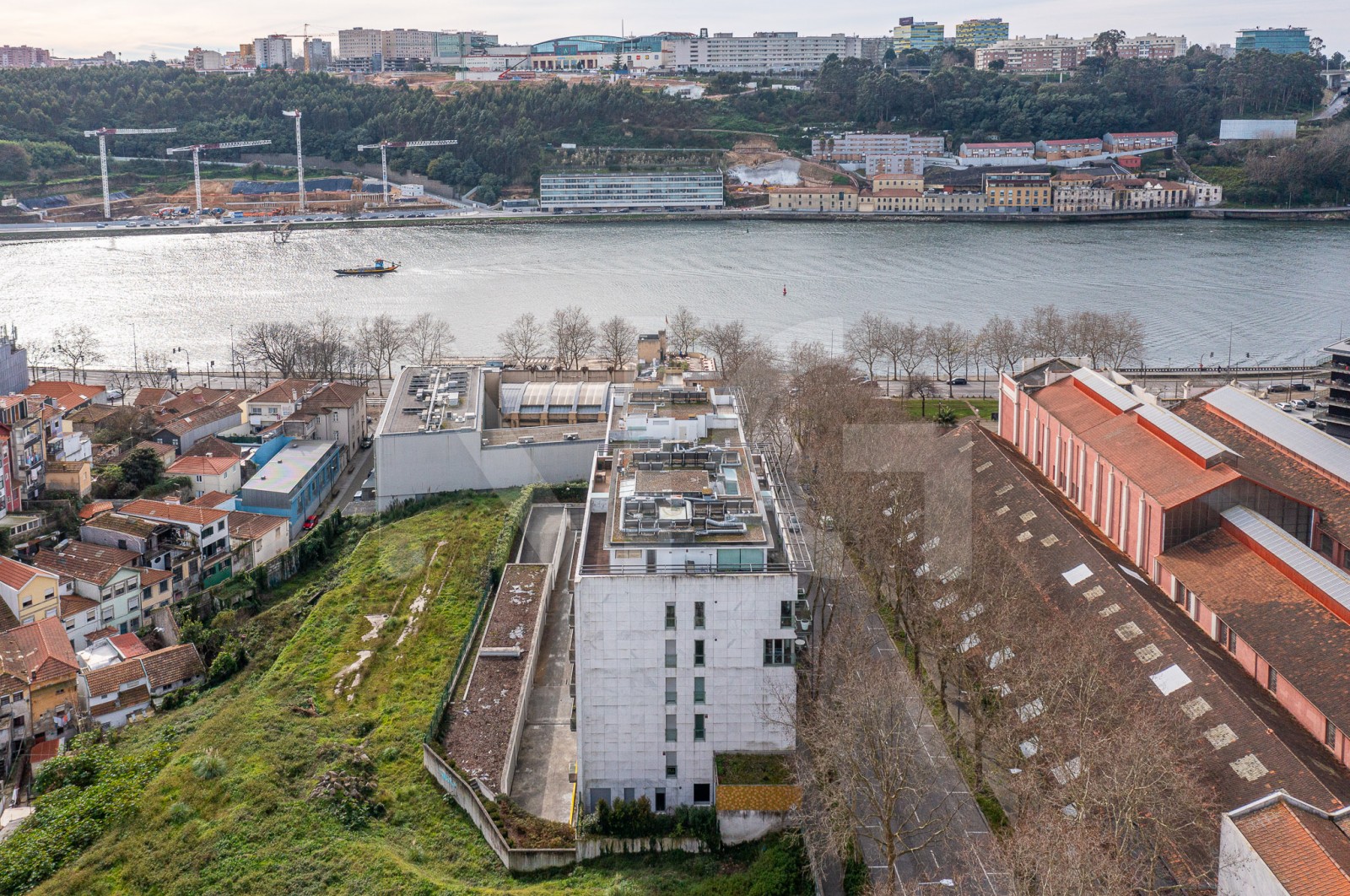 Apartamento T3 para Venda em Lordelo do Ouro e Massarelos, Porto, Porto - Área envolvente (Imagem 20)