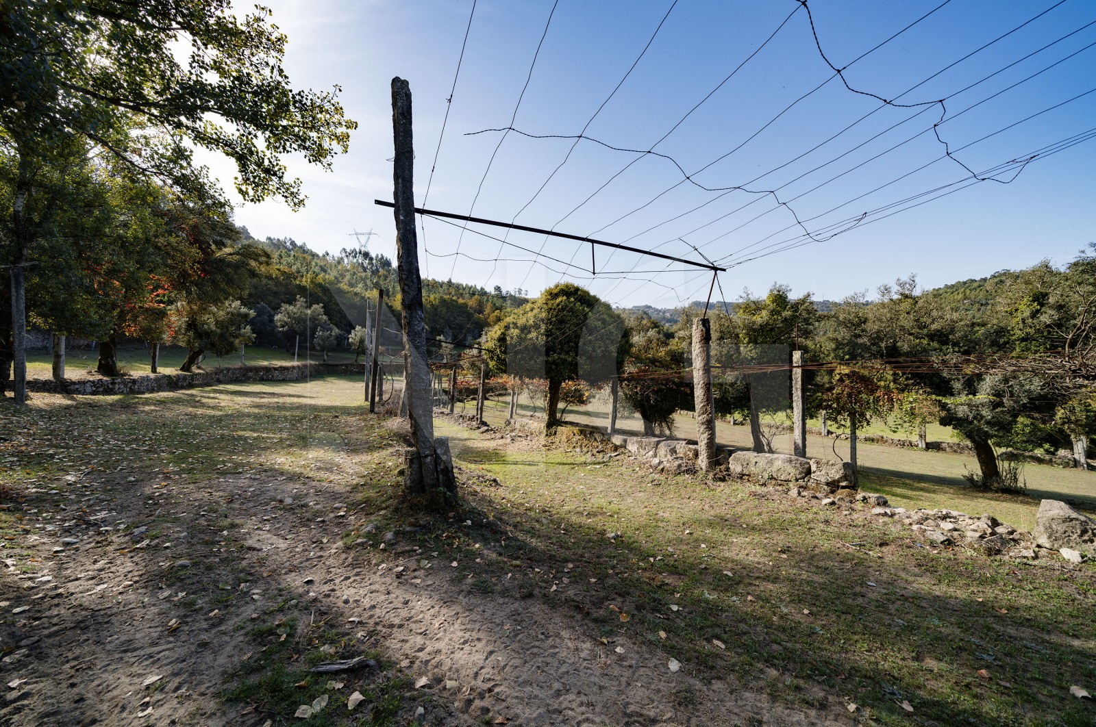Quinta T8 para Venda em Covelas, Póvoa de Lanhoso, Braga - Terreno (Imagem 5)