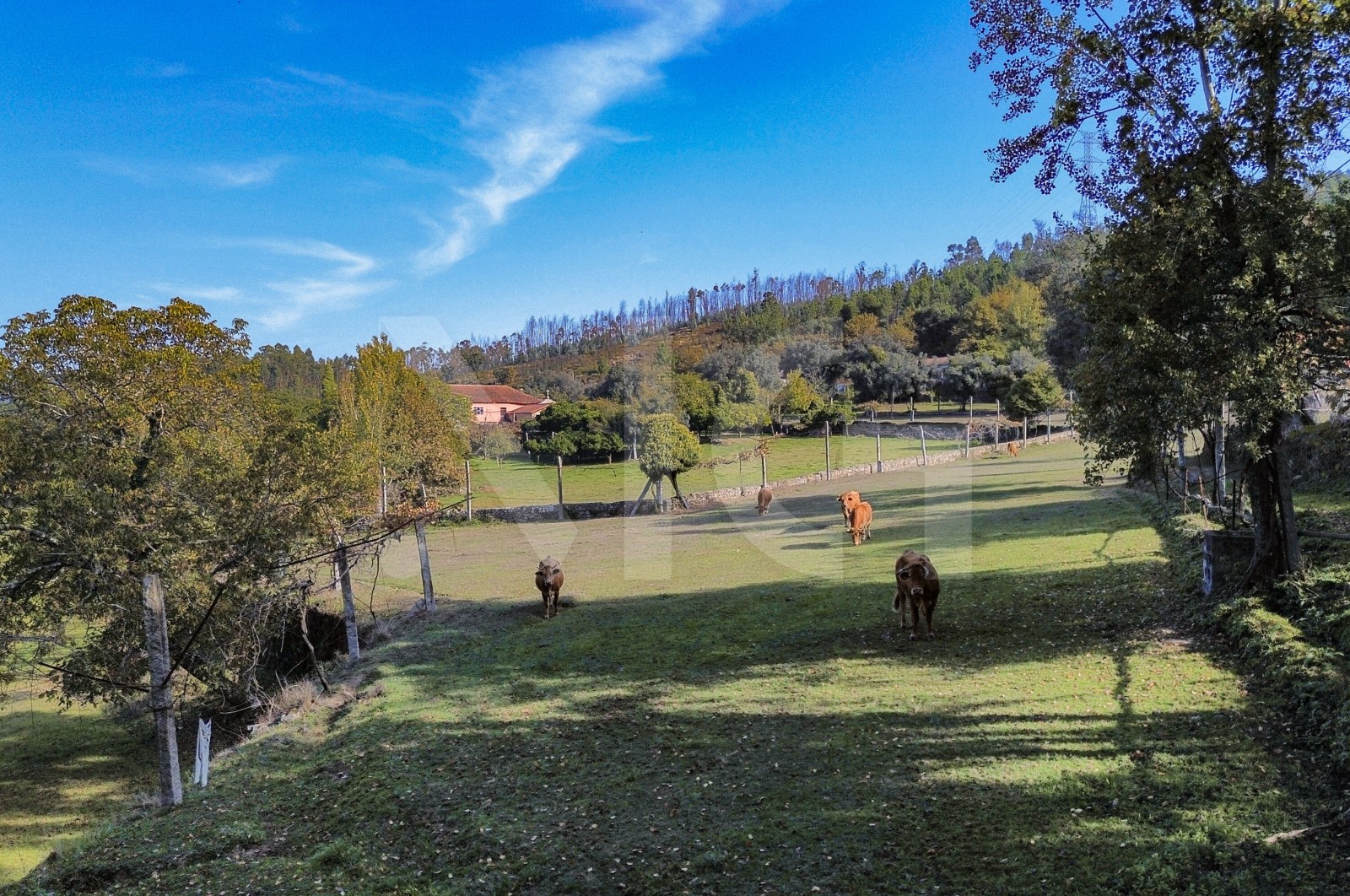 Quinta T8 para Venda em Covelas, Póvoa de Lanhoso, Braga - Detalhes (Imagem 3)