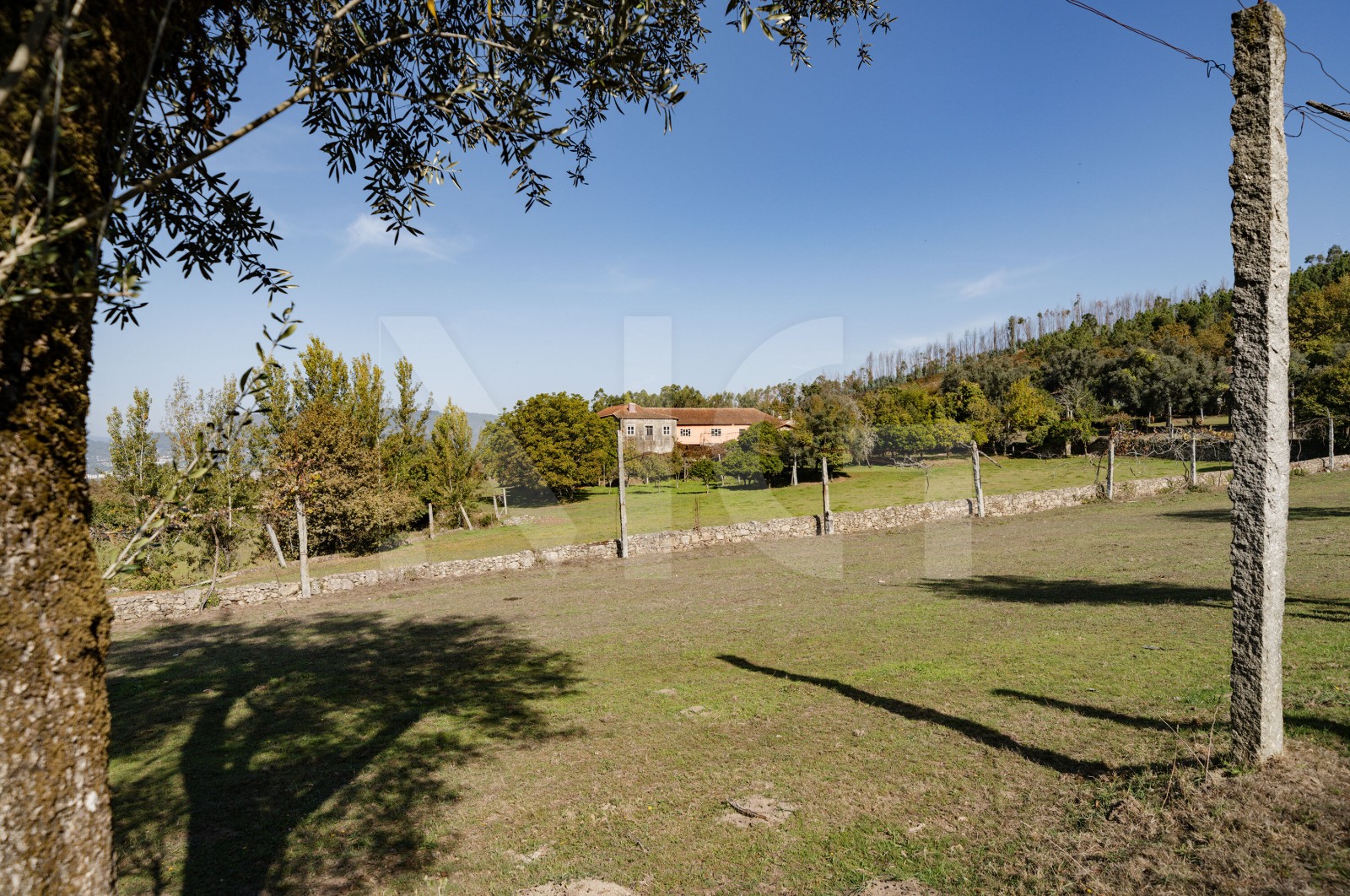 Quinta T8 para Venda em Covelas, Póvoa de Lanhoso, Braga - Terreno (Imagem 7)