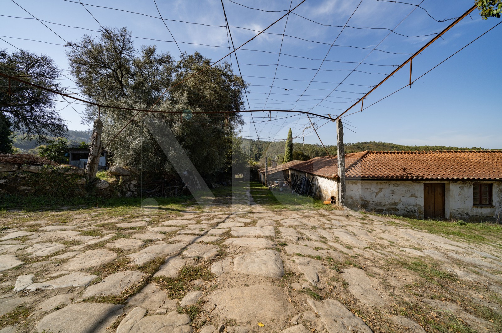 Quinta T8 para Venda em Covelas, Póvoa de Lanhoso, Braga - Terreno (Imagem 8)