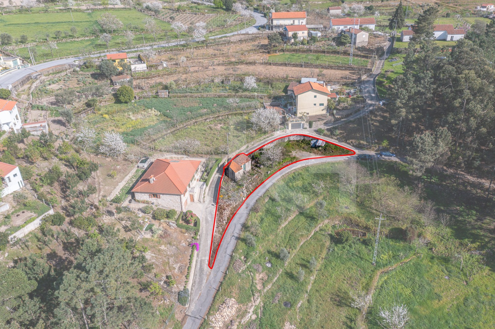 House T1 for For sale in Freigil e Miomães, Resende, Viseu - Planta (Imagem 1)