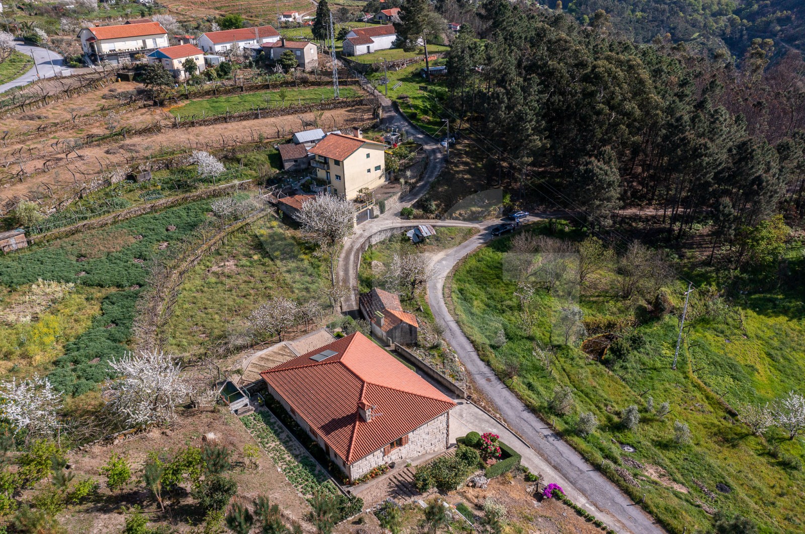 House T1 for For sale in Freigil e Miomães, Resende, Viseu - Área envolvente (Imagem 9)