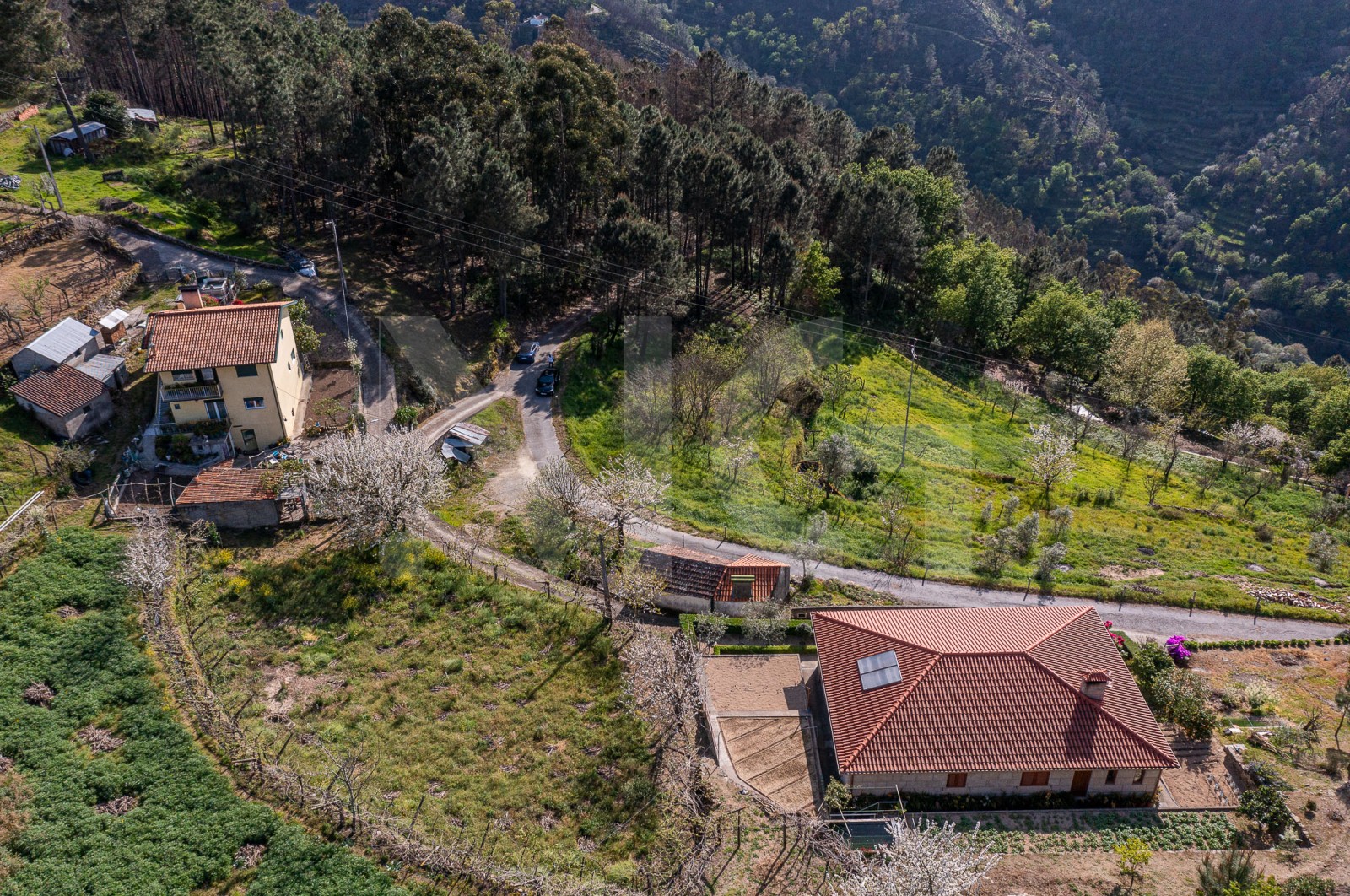 House T1 for For sale in Freigil e Miomães, Resende, Viseu - Área envolvente (Imagem 10)