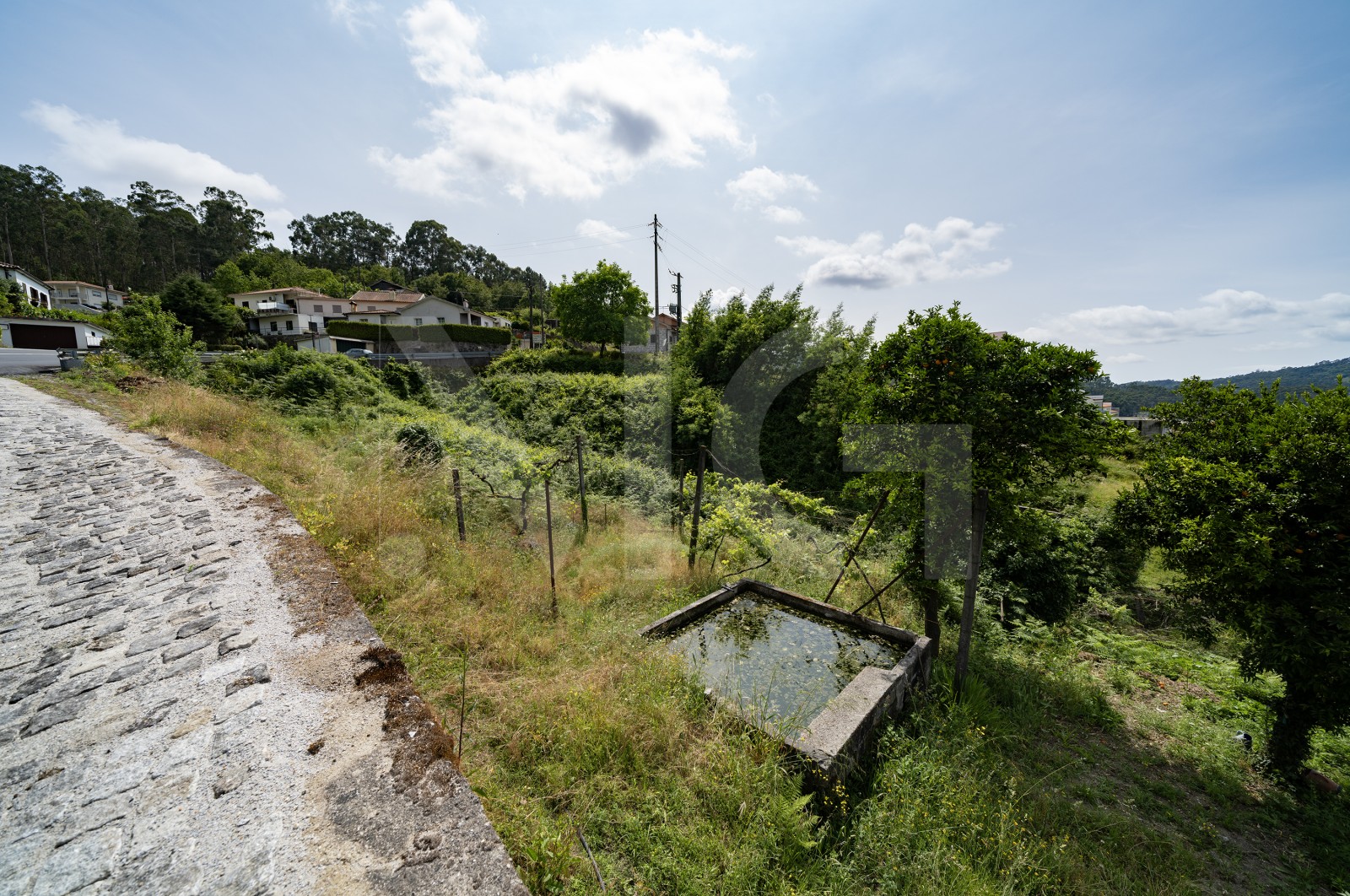 Terreno Urbano para Venda em Escudeiros e Penso (Santo Estêvão e São Vicente), Braga, Braga - Terreno (Imagem 7)