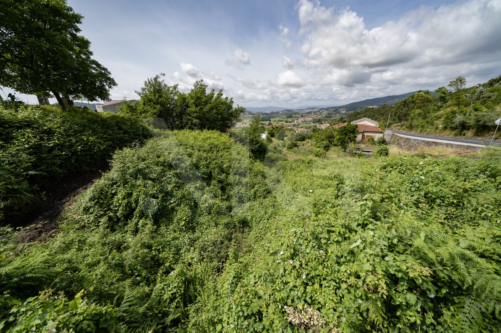 Terreno Urbano para Venda em Escudeiros e Penso (Santo Estêvão e São Vicente), Braga, Braga - Terreno (Imagem 2)