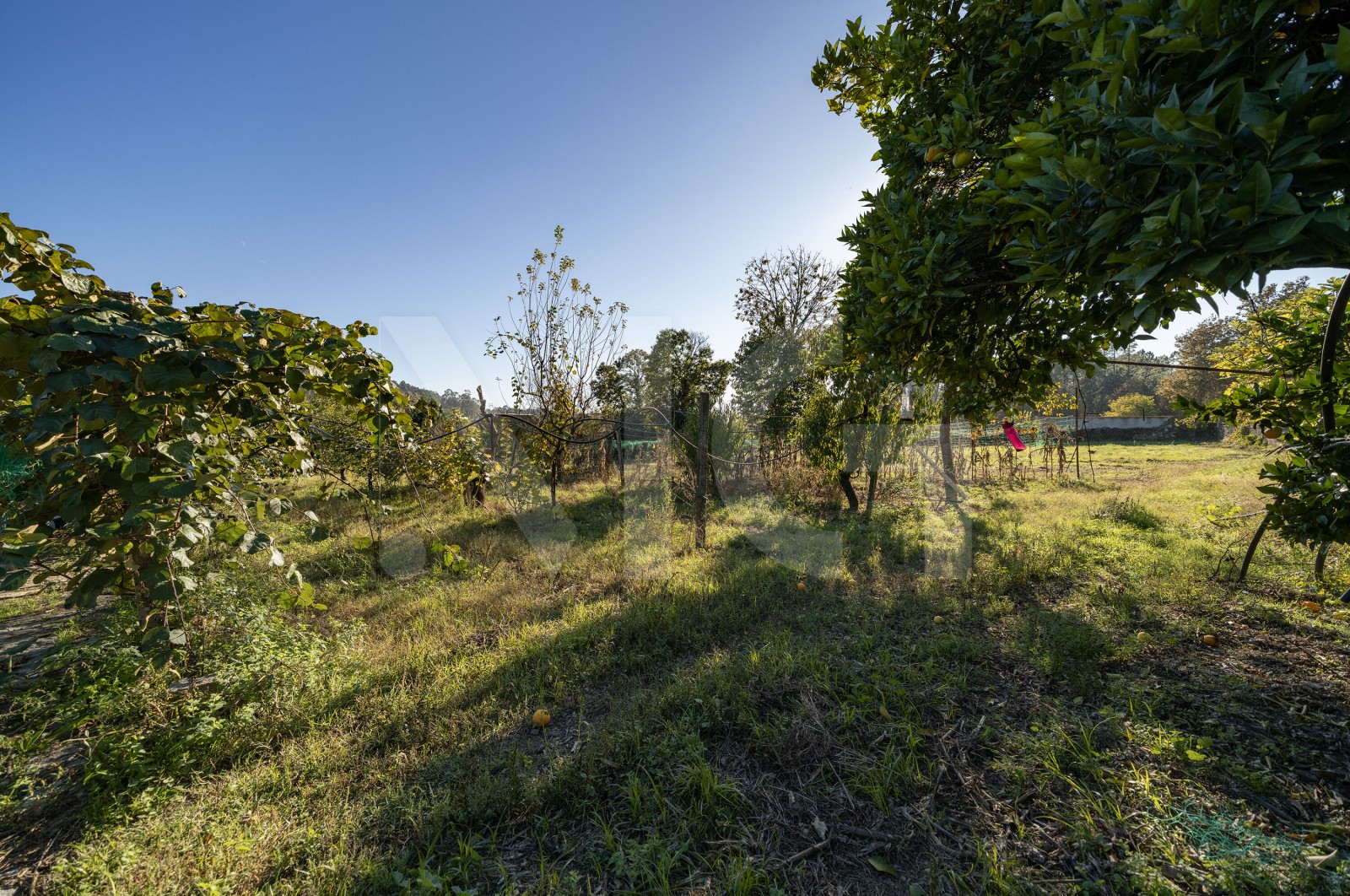 Land Rustic for For sale in Torre e Portela, Amares, Braga - Terreno (Imagem 7)