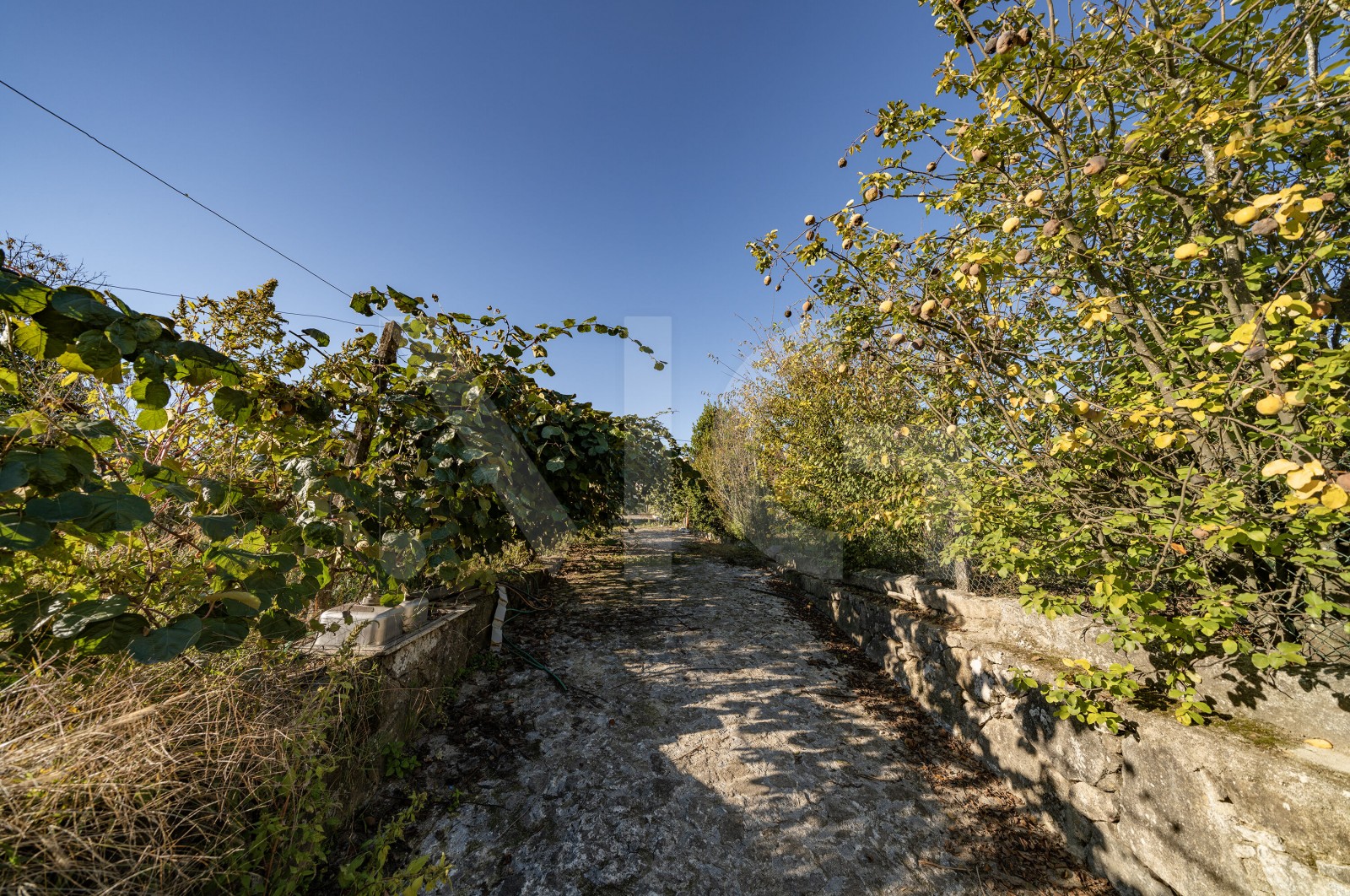 Land Rustic for For sale in Torre e Portela, Amares, Braga - Terreno (Imagem 13)