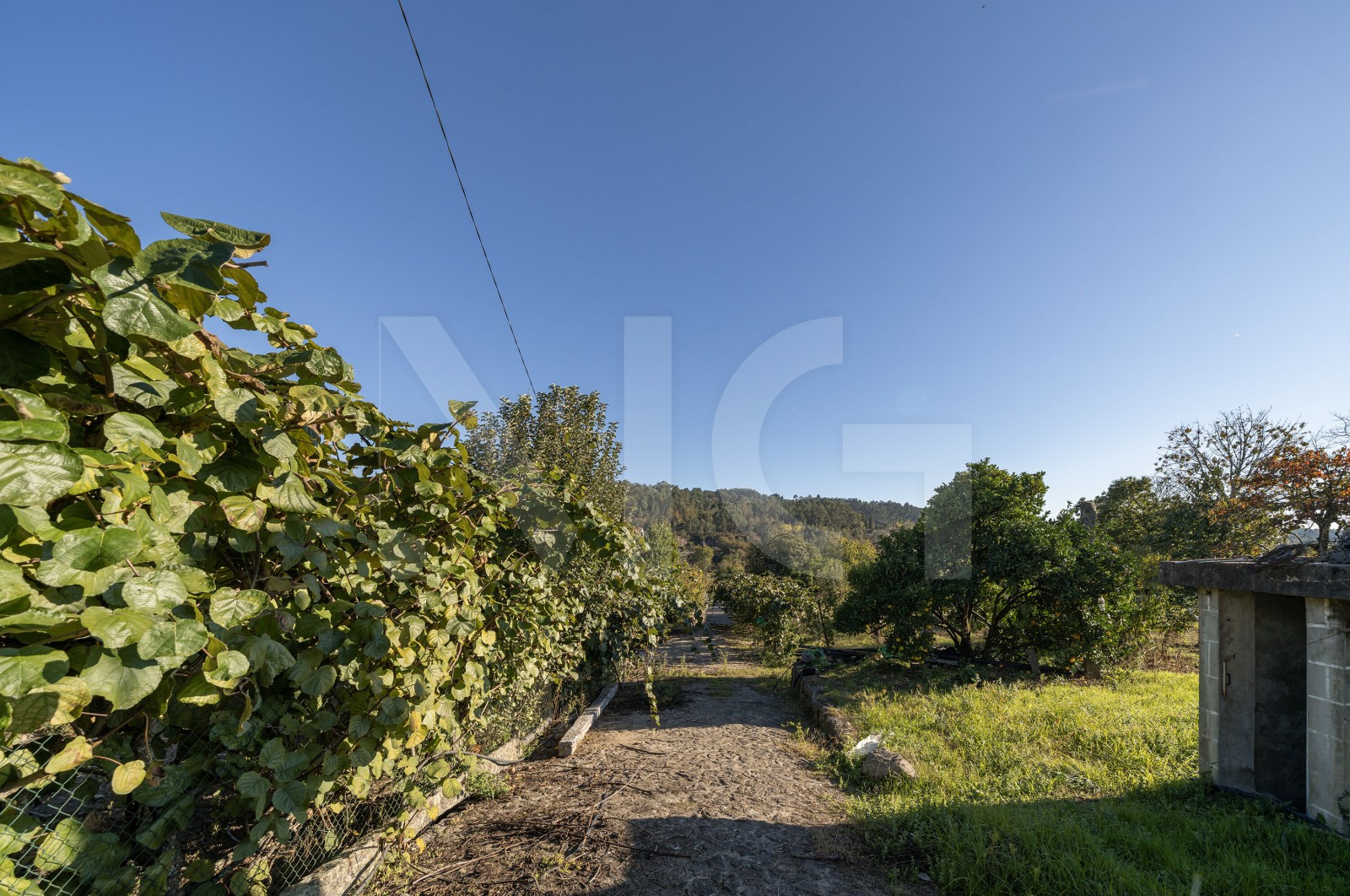 Land Rustic for For sale in Torre e Portela, Amares, Braga - Terreno (Imagem 1)