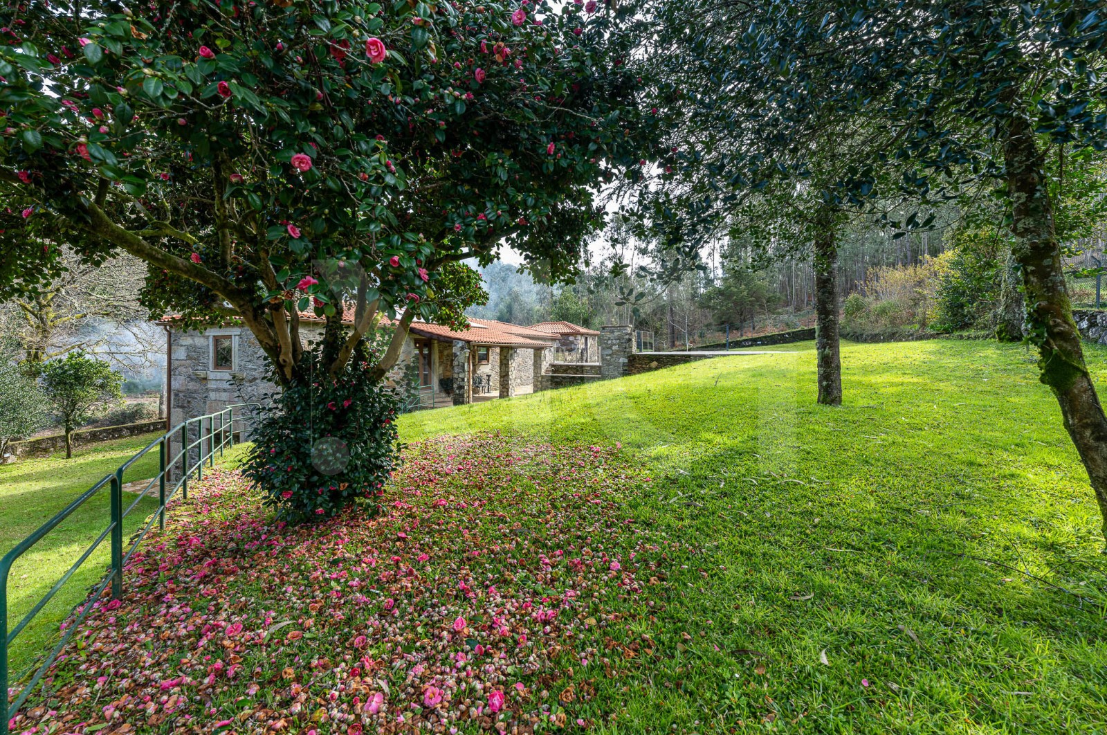 Moradia T4 para Venda em Gondar e Orbacém, Caminha, Viana do Castelo - Quintal/Jardim (Imagem 3)