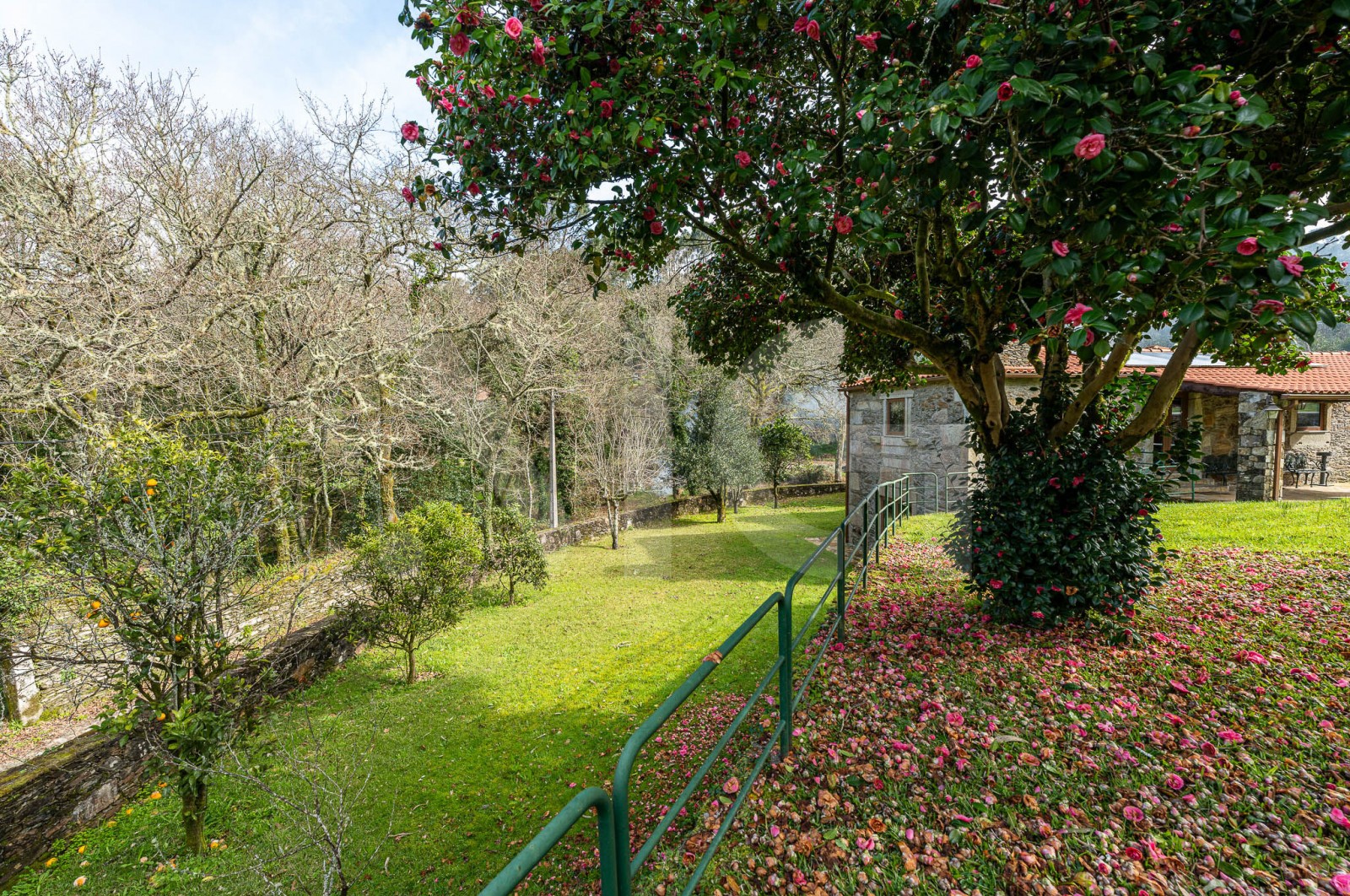 Moradia T4 para Venda em Gondar e Orbacém, Caminha, Viana do Castelo - Quintal/Jardim (Imagem 4)