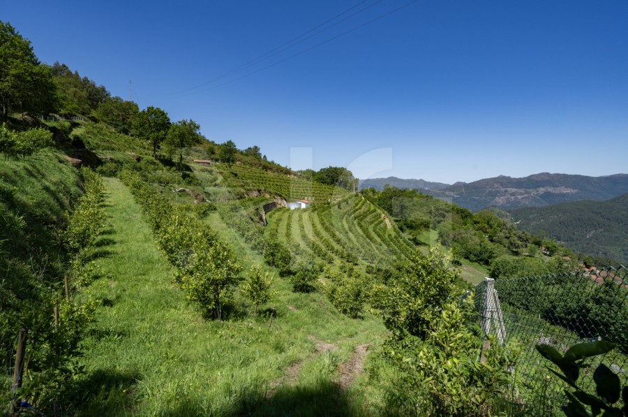 Área envolvente (Imagem 12)