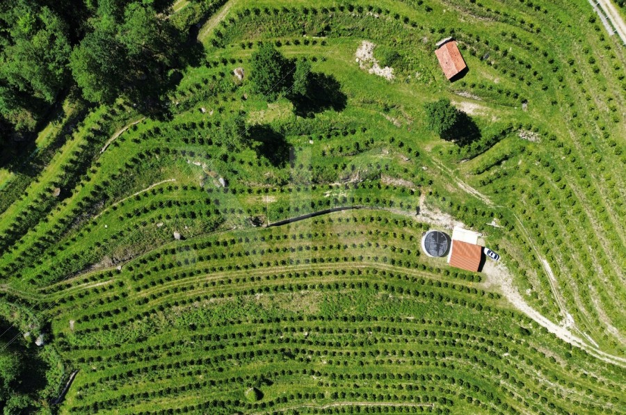 Área envolvente (Imagem 6)