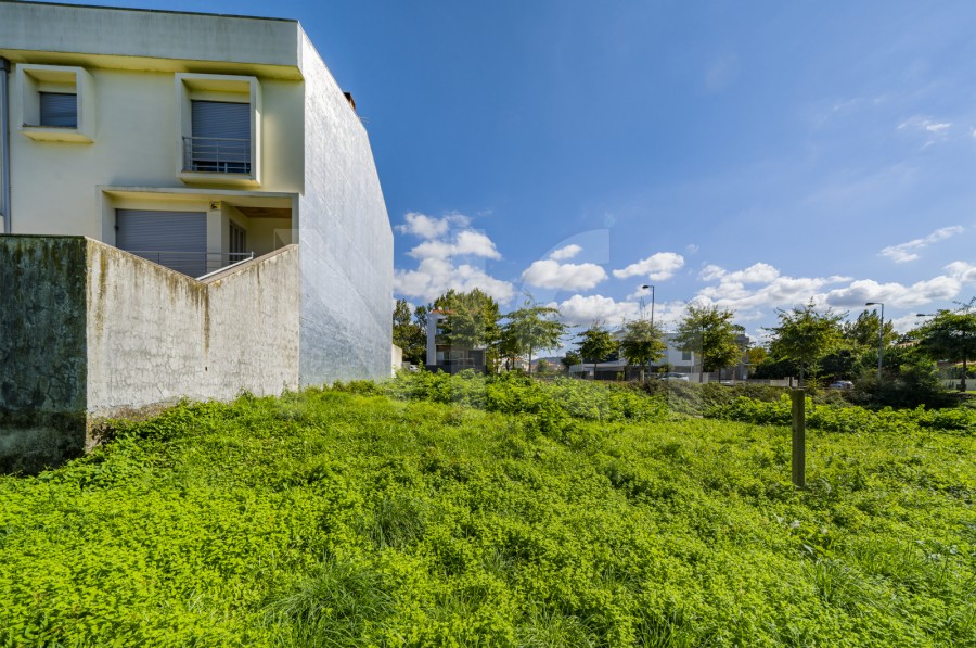 Terreno (Imagem 5)