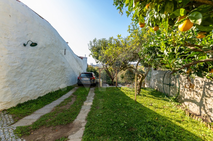 Quintal/Jardim (Imagem 2)