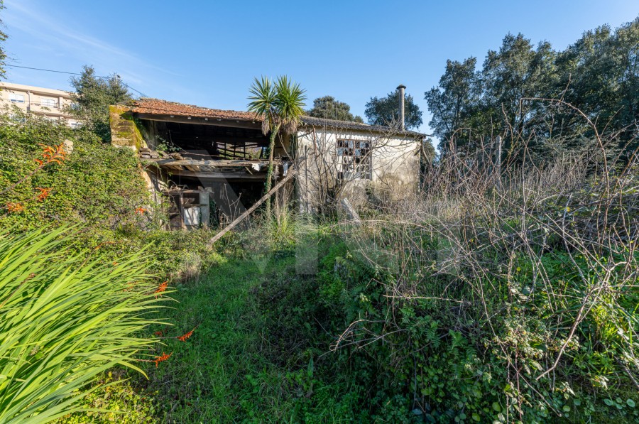 Terreno (Imagem 3)