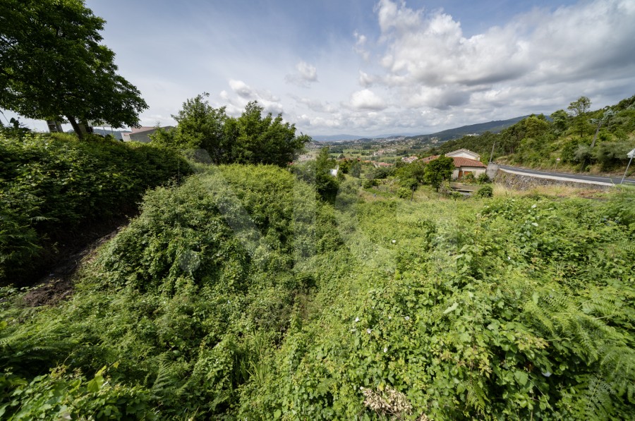 Terreno (Imagem 3)